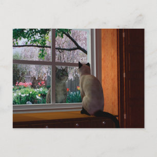 Frühlingsfieber Postkarte