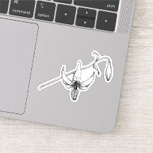 Frühlingsfloral | Columbia Lily | Botanischer Aufk