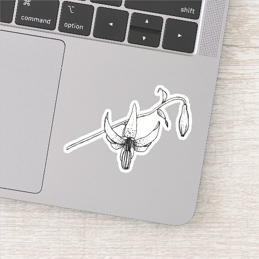 Frühlingsfloral | Columbia Lily | Botanischer Aufk Aufkleber (Detail)