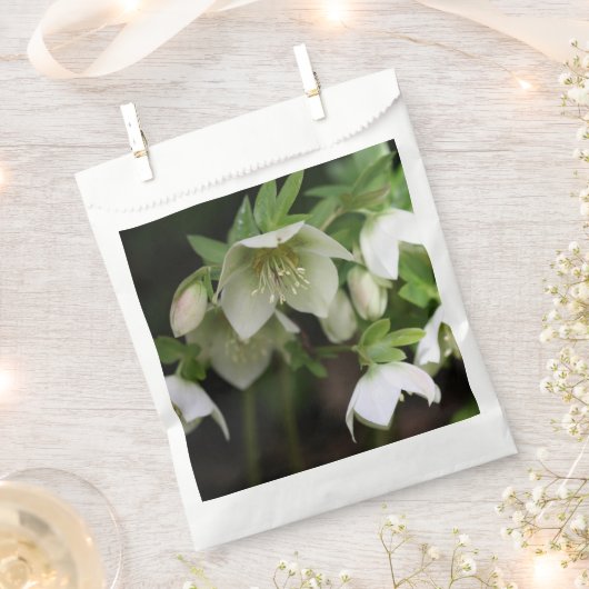 Frühlingsfloral Gefälligkeitsflaggen Geschenktütchen (Ausgeschnitten)