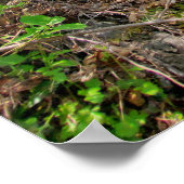 Frühlingsfoto Poster (Ecke)