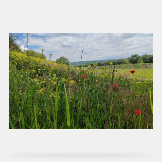 Frühlingsfotografie Acrylschild (Vorderseite)