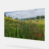 Frühlingsfotografie Acrylschild (Winkel)