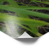 Frühlingsfotografie Fotodruck (Ecke)