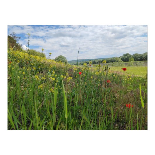 Frühlingsfotografie Fotodruck (Vorne)