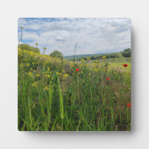 Frühlingsfotografie