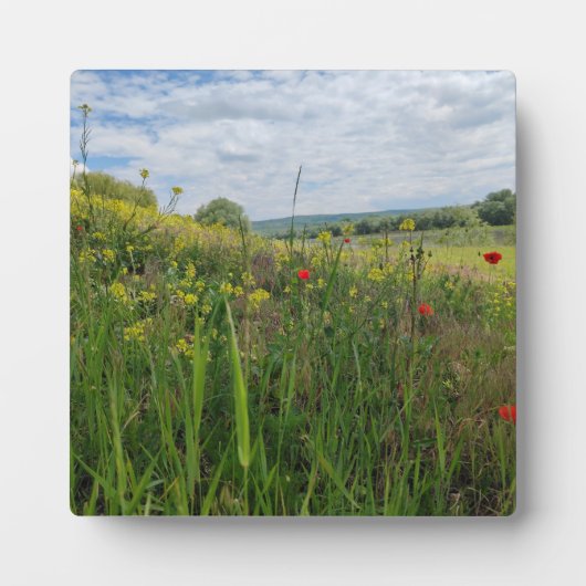 Frühlingsfotografie Fotoplatte (Vorderseite)