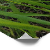 Frühlingsfotografie Poster (Ecke)