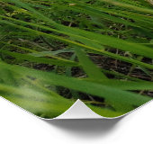 Frühlingsfotografie Poster (Ecke)