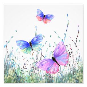 Frühlingsfreude - Bunte Schmetterlinge fliegen in Fotodruck