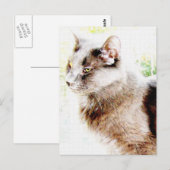 Frühlingsfreund PoStCaRd! Postkarte (Vorne/Hinten)