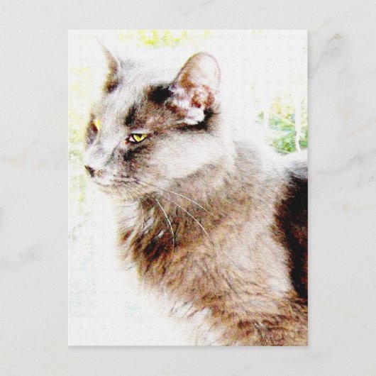 Frühlingsfreund PoStCaRd! Postkarte (Vorderseite)