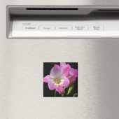 Frühlingsfrost-Blume Magnet (In Situ (Geschirrspüler))