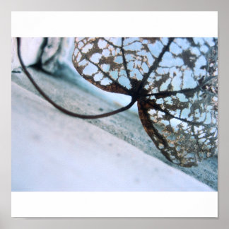 Frühlingsgeister Poster