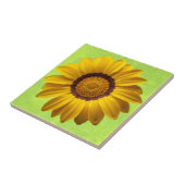 Frühlingsgelbe Blume auf abstrakt grün Fliese (Seite)