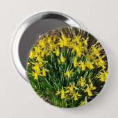 Frühlingsgelbe Daffodien Abzeichen Button (Vorne & Hinten)