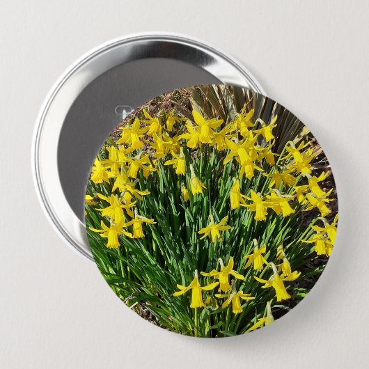Frühlingsgelbe Daffodien Abzeichen Button (Vorne & Hinten)
