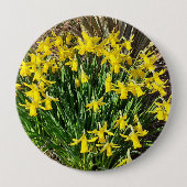 Frühlingsgelbe Daffodien Abzeichen Button (Vorderseite)