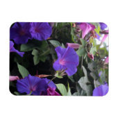 Frühlingsglorie in Blau Magnet (Horizontal)