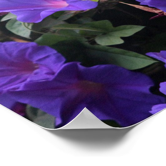 Frühlingsglorie in Blau Poster (Ecke)