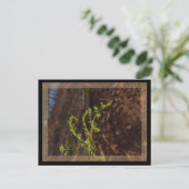 Frühlingsgrün postkarte (Stehend Vorderseite)