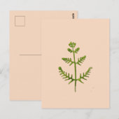 Frühlingsgrün postkarte (Vorne/Hinten)