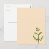 Frühlingsgrün postkarte (Vorne/Hinten)