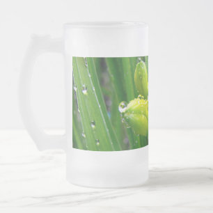 Frühlingsgrüne Lilienknospen Mattglas Bierglas