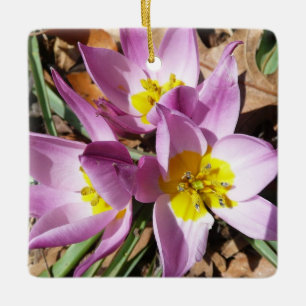 Frühlingshafte rosa Krokusse Keramikornament