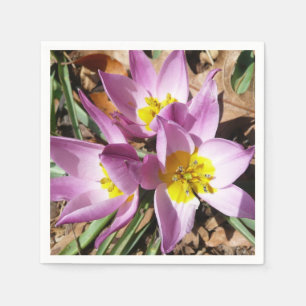 Frühlingshafte rosa Krokusse Serviette