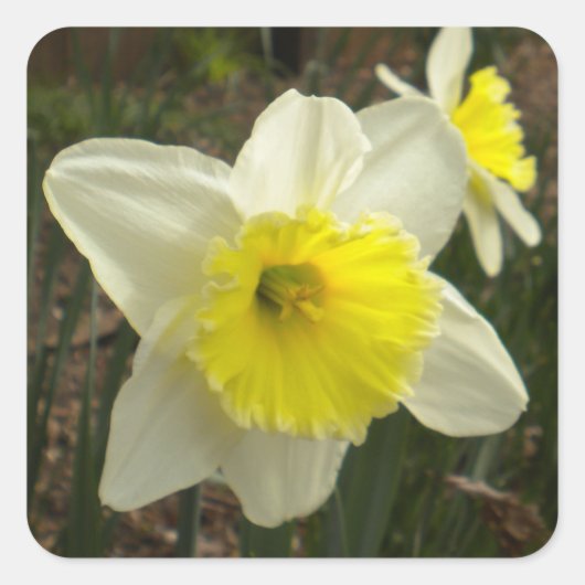 Frühlingshafter Quadratischer Aufkleber (Vorderseite)