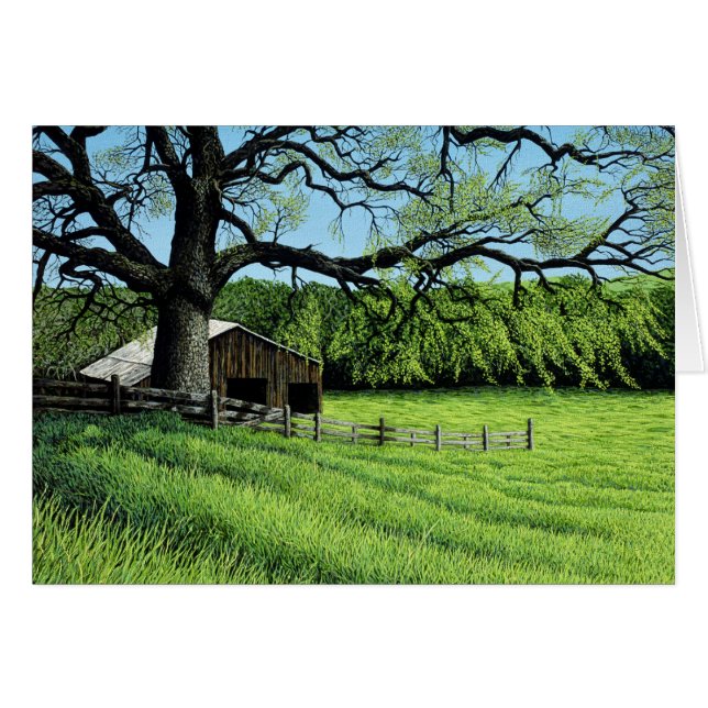 Frühlingshai (Vorderseite (Horizontal))