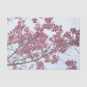 Frühlingshai Blühen Blauer Himmel Hanami Seidenpapier (Vorderseite)