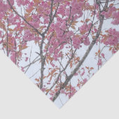 Frühlingshai Blühen Blauer Himmel Hanami Seidenpapier (Ausschnitt)