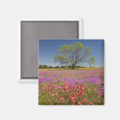 Frühlingshambäume, die in Wildblumen wachsen, Magnet (Vorderseite/Rückseite)