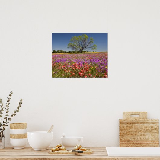 Frühlingshambäume, die in Wildblumen wachsen, Poster (Küche)