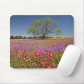 Frühlingshammen, die in Wildblumen wachsen, Mousepad (Mit Mouse)