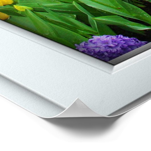 Frühlingshardfenster Illusion Poster (Ecke)