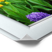 Frühlingshardfenster Illusion Poster (Ecke)