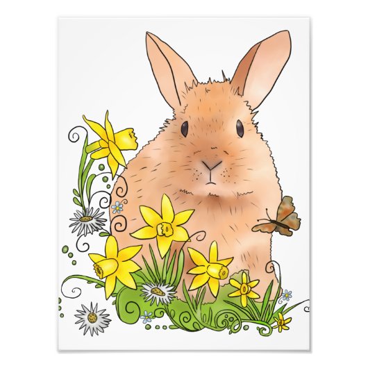 Frühlingshase  fotodruck (Vorne)