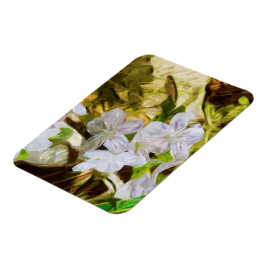Frühlingshauty eine Wildblume Abstrakt Impressioni Magnet (Linke Seite)