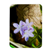 Frühlingshauty eine Wildblume Abstrakt Impressioni Magnet (Vertikal)