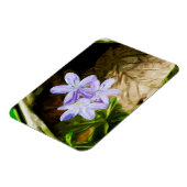 Frühlingshauty eine Wildblume Abstrakt Impressioni Magnet (Linke Seite)