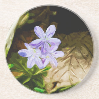 Frühlingshauty eine Wildblume Abstrakt Impressioni Untersetzer