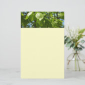 Frühlingshbse Verlasse Grünbäume Briefpapier (Stehend Vorderseite)