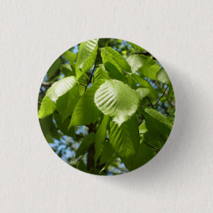 Frühlingshbse Verlasse Grünbäume Button