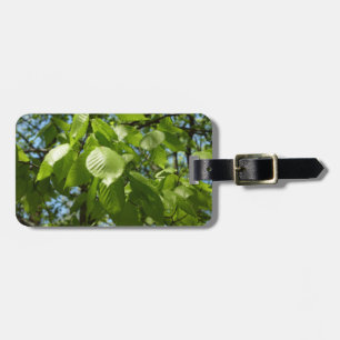 Frühlingshbse Verlasse Grünbäume Gepäckanhänger