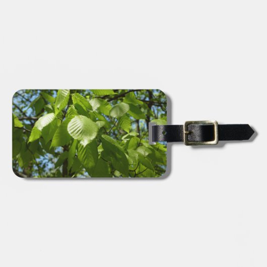 Frühlingshbse Verlasse Grünbäume Gepäckanhänger (Vorderseite horizontal)