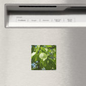 Frühlingshbse Verlasse Grünbäume Magnet (In Situ (Geschirrspüler))