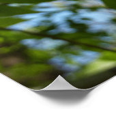 Frühlingshbse Verlasse Grünbäume Poster (Ecke)